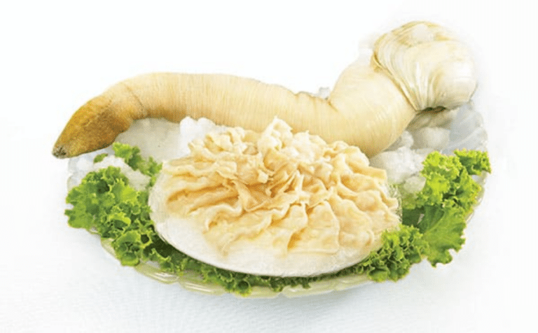 Live-Canadian-Geoduck@2x-1.png