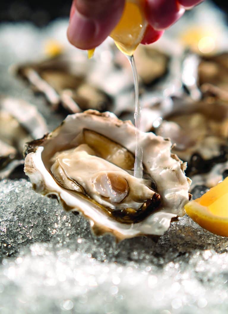Live Oysters-02