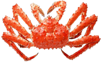 imgbin-red-king-crab-buffet-seafood-crab-WjyThQrXAACUT5ua3sX30G67j